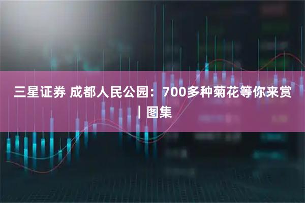 三星证券 成都人民公园:700多种菊花等你来赏|图集