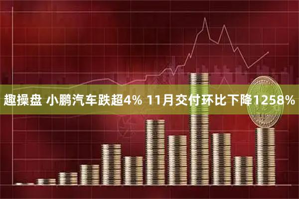 趣操盘 小鹏汽车跌超4% 11月交付环比下降1258%