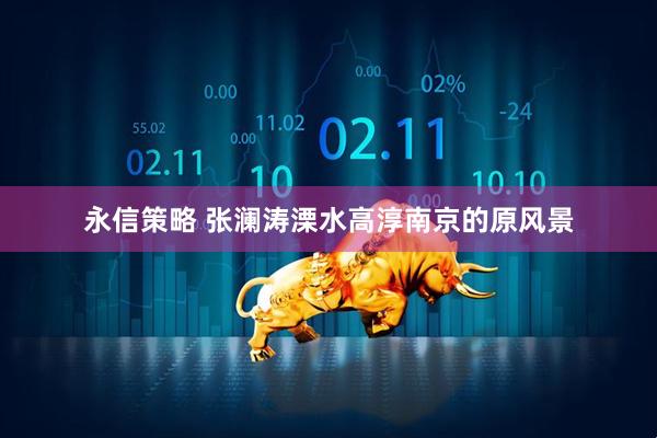 永信策略 张澜涛溧水高淳南京的原风景