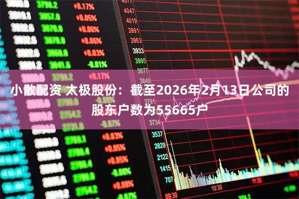 小散配资 太极股份：截至2026年2月13日公司的股东户数为55665户