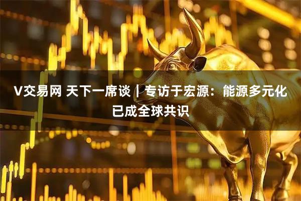 V交易网 天下一席谈｜专访于宏源：能源多元化已成全球共识